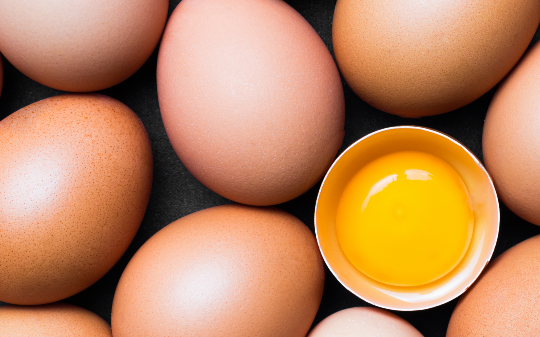 The Truth About Yolk Color